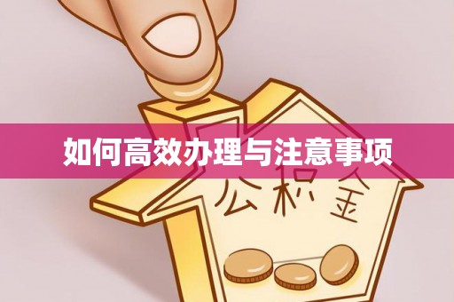 惠来如何高效办理与注意事项