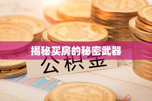 惠来揭秘买房的秘密武器