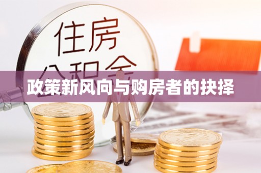 惠来政策新风向与购房者的抉择