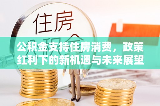 惠来公积金支持住房消费，政策红利下的新机遇与未来展望
