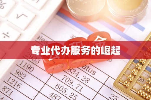 惠来专业代办服务的崛起