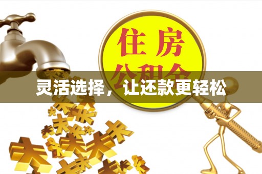 惠来灵活选择，让还款更轻松