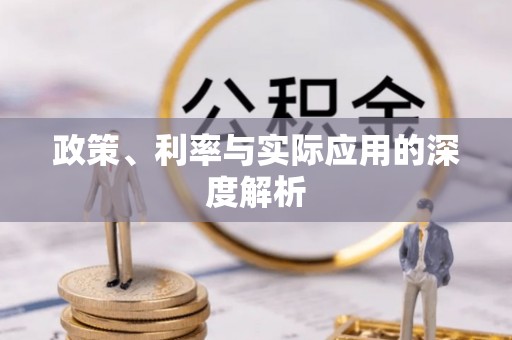 惠来政策、利率与实际应用的深度解析