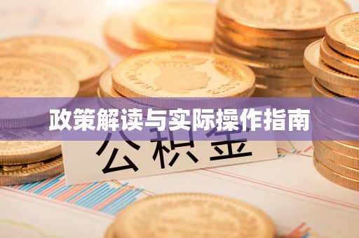 惠来政策解读与实际操作指南
