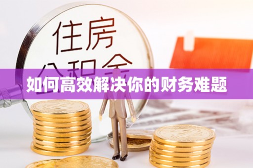 惠来如何高效解决你的财务难题