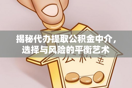 惠来揭秘代办提取公积金中介，选择与风险的平衡艺术