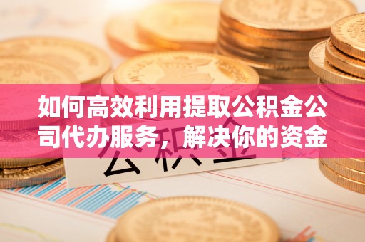 惠来如何高效利用提取公积金公司代办服务，解决你的资金难题