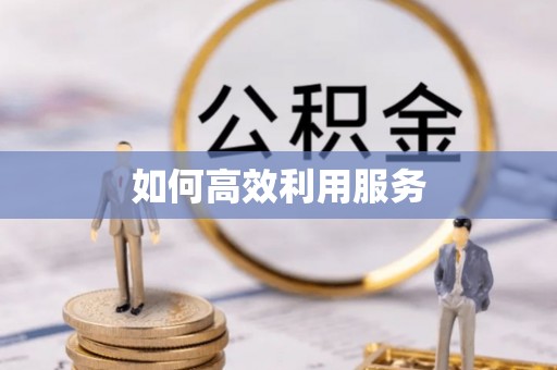 惠来如何高效利用服务