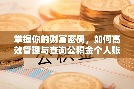 惠来掌握你的财富密码，如何高效管理与查询公积金个人账户信息
