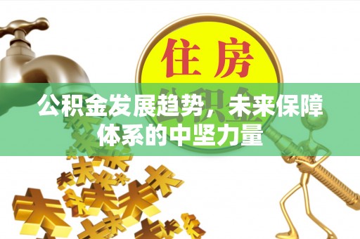 惠来公积金发展趋势，未来保障体系的中坚力量