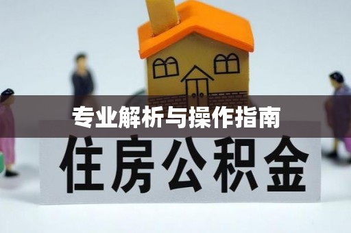 惠来专业解析与操作指南