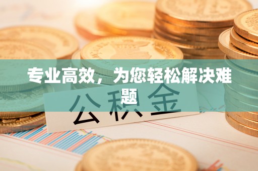 惠来专业高效，为您轻松解决难题