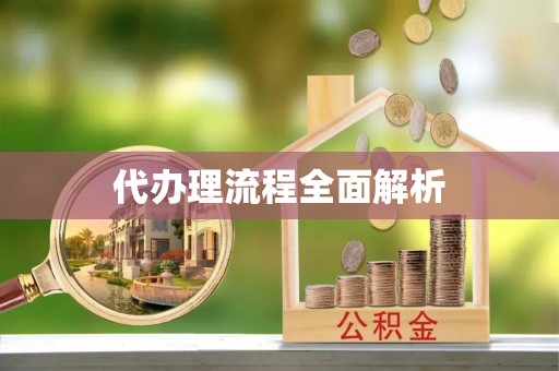 惠来代办理流程全面解析