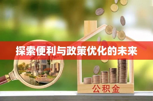 惠来探索便利与政策优化的未来