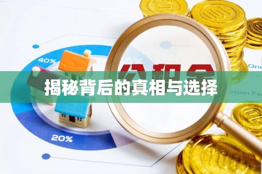 惠来揭秘背后的真相与选择