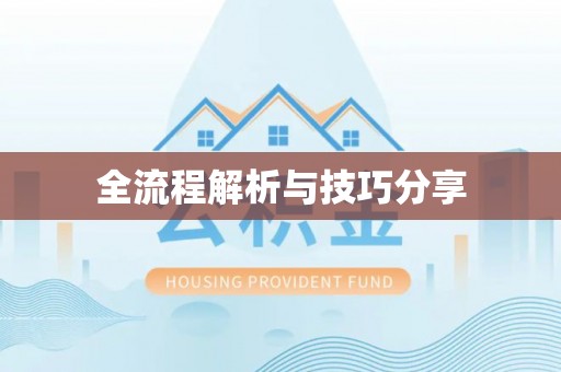惠来全流程解析与技巧分享