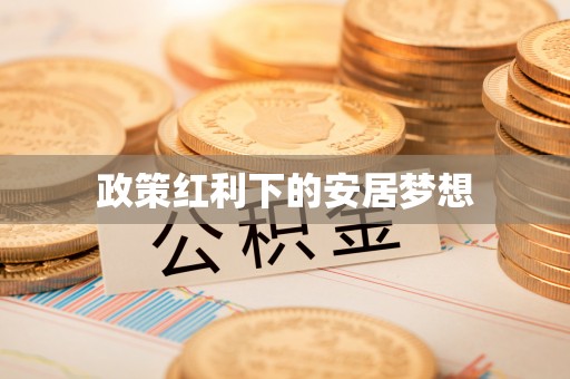 惠来政策红利下的安居梦想