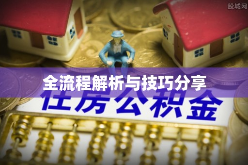 惠来全流程解析与技巧分享