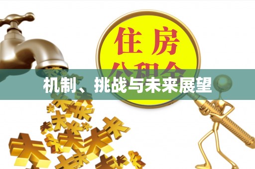 惠来机制、挑战与未来展望