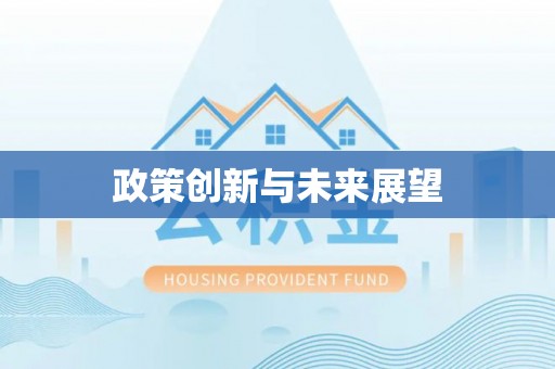 惠来政策创新与未来展望
