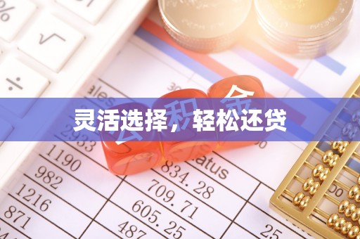 惠来灵活选择，轻松还贷