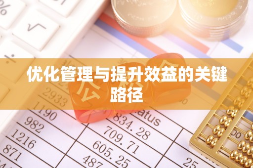 惠来优化管理与提升效益的关键路径